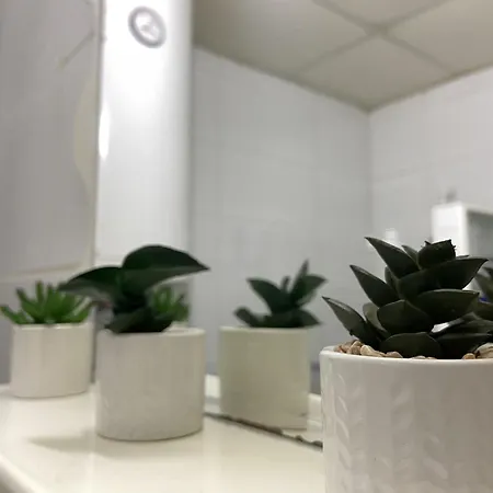 Apartman Lea Paracin Exterior photo