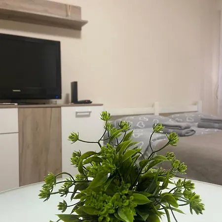Apartman Lea Paracin Exterior photo