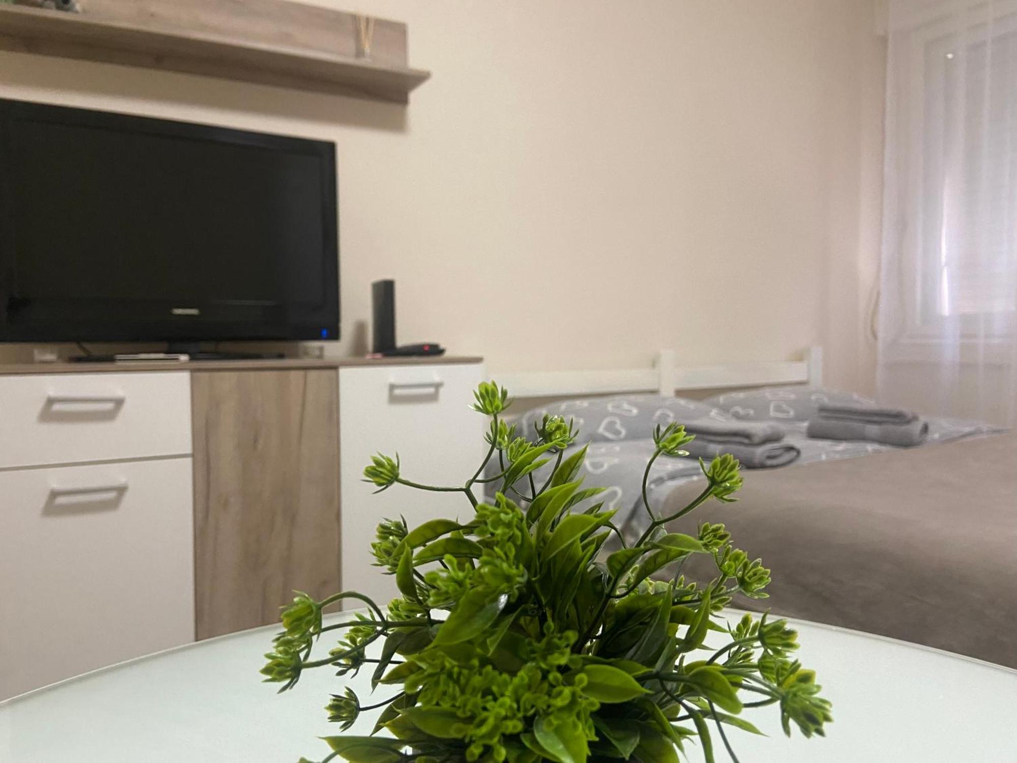 Apartment Lea